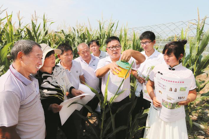 农业专家田间会诊